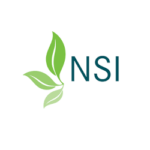 NSI